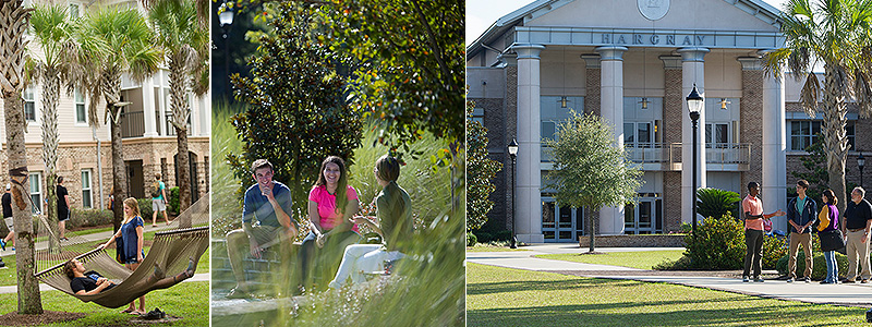 Profile for University of South Carolina Beaufort - HigherEdJobs