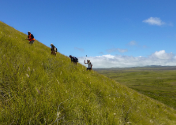 A CEMML botanical team conducts rare plant surveys